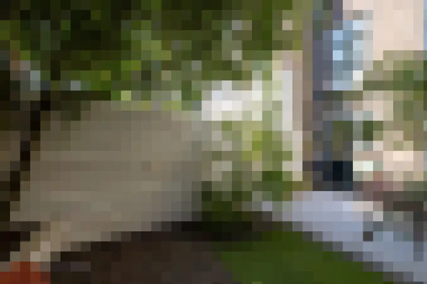 Heemraadssingel 288 A Rotterdam thumbnail 47