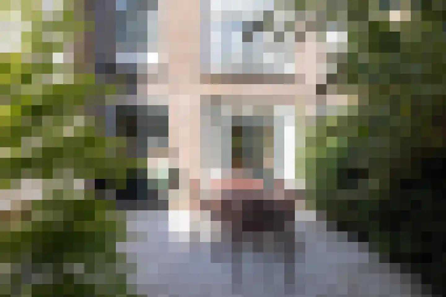 Heemraadssingel 288 A Rotterdam thumbnail 48