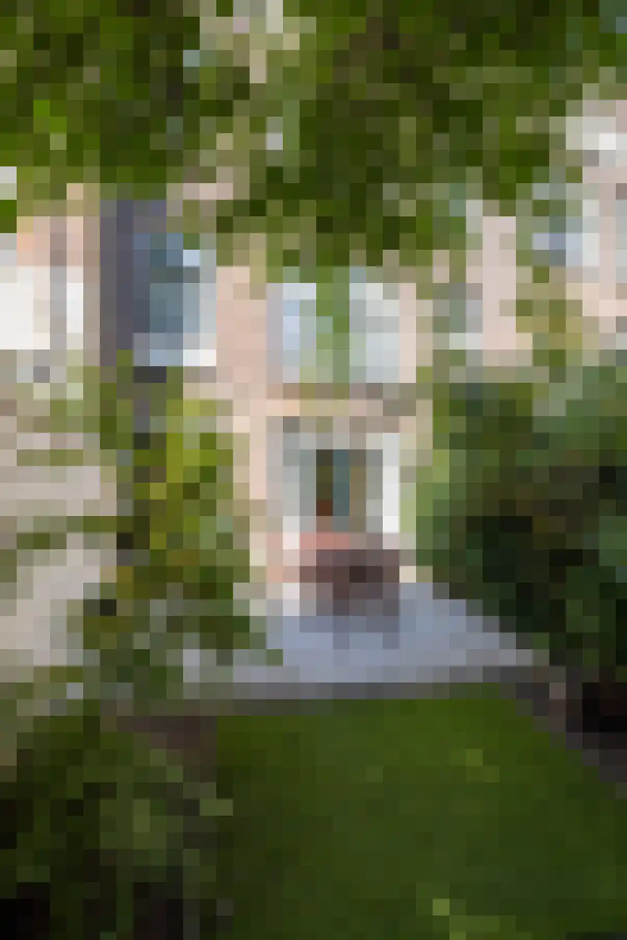 Heemraadssingel 288 A Rotterdam thumbnail 49