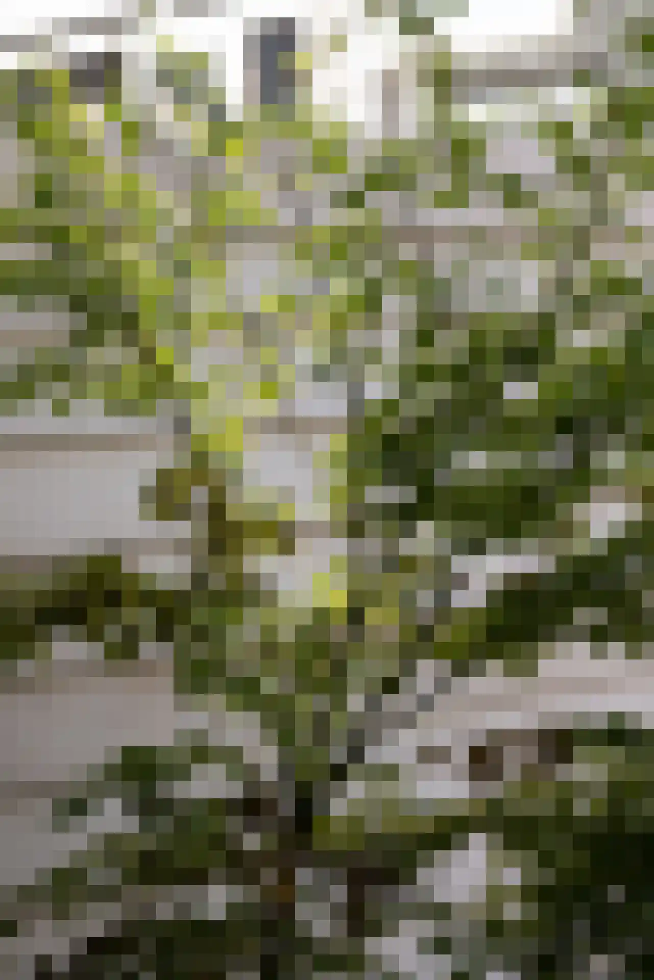Heemraadssingel 288 A Rotterdam thumbnail 50