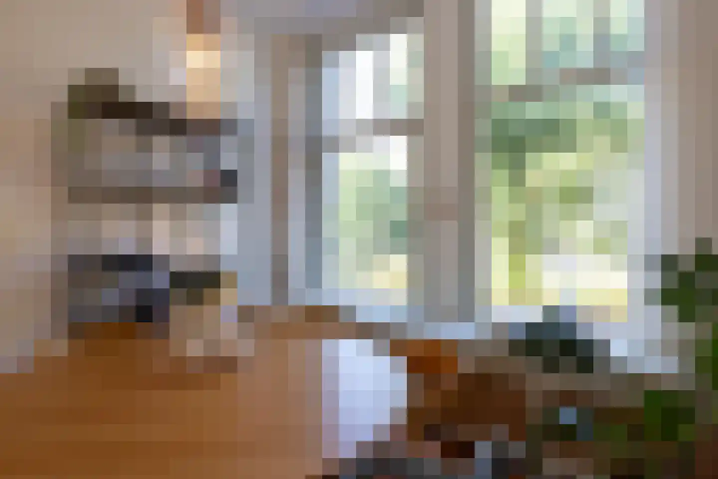 Heemraadssingel 288 A Rotterdam thumbnail 7