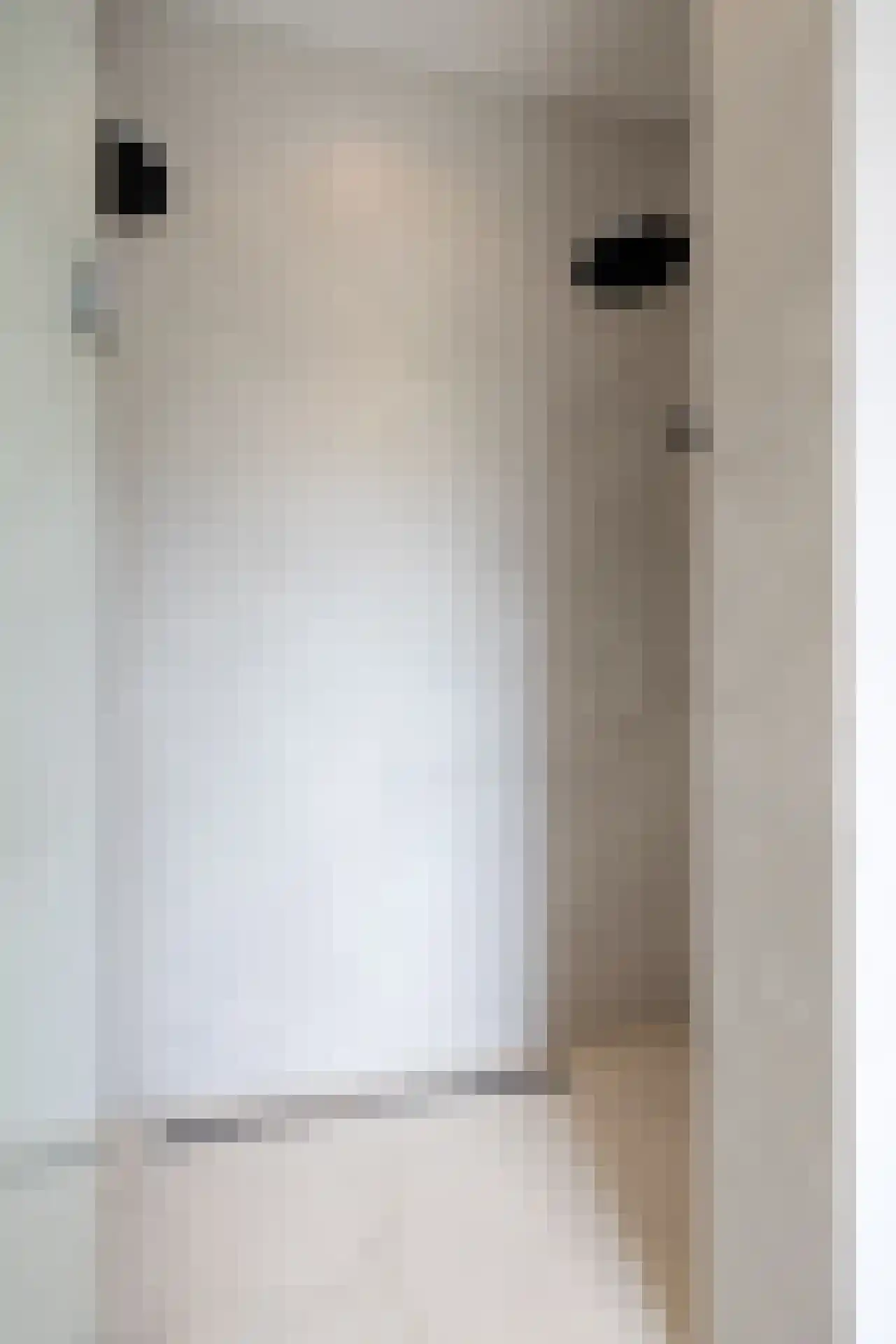Heemraadssingel 294 B Rotterdam thumbnail 29