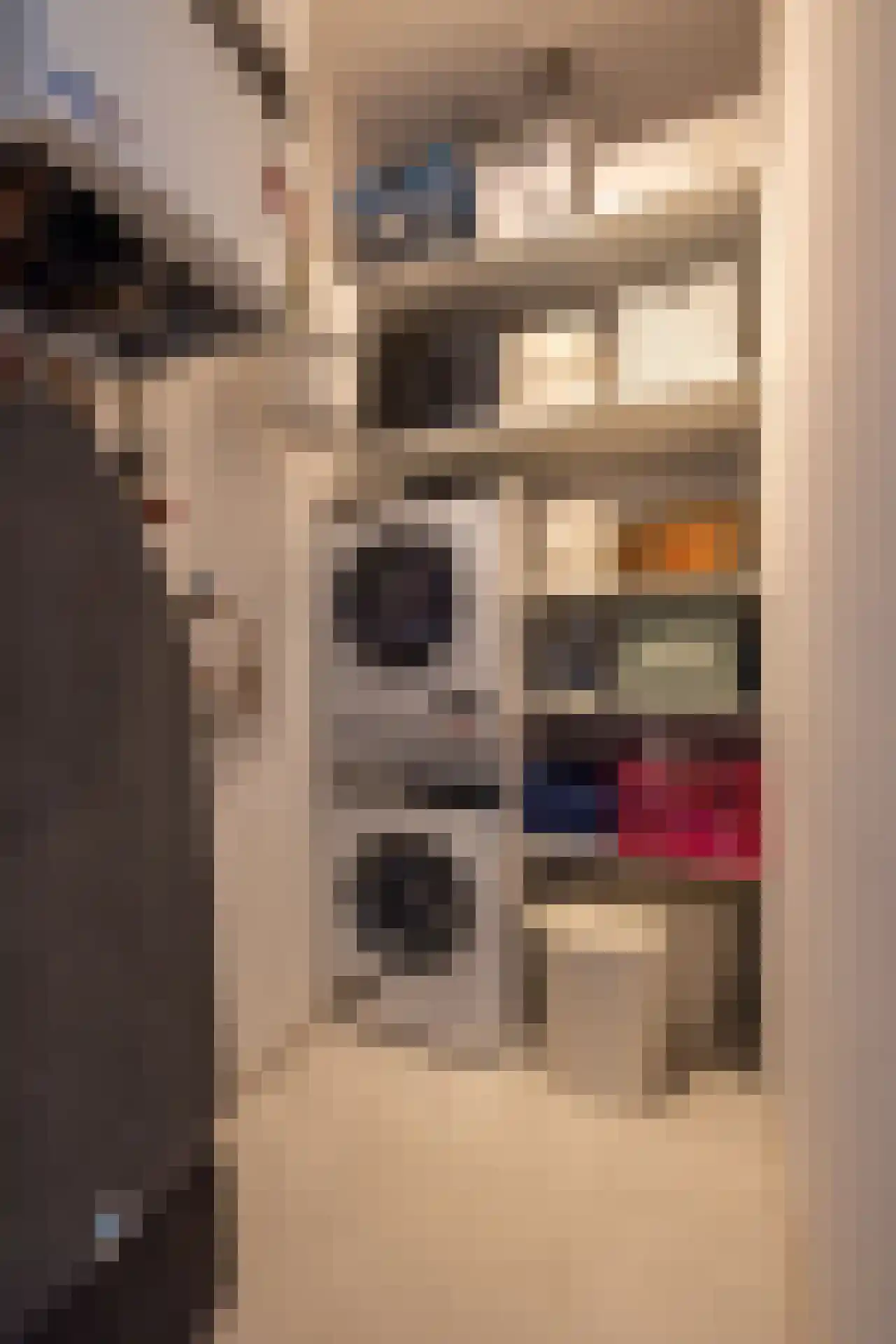 Heemraadssingel 294 B Rotterdam thumbnail 41