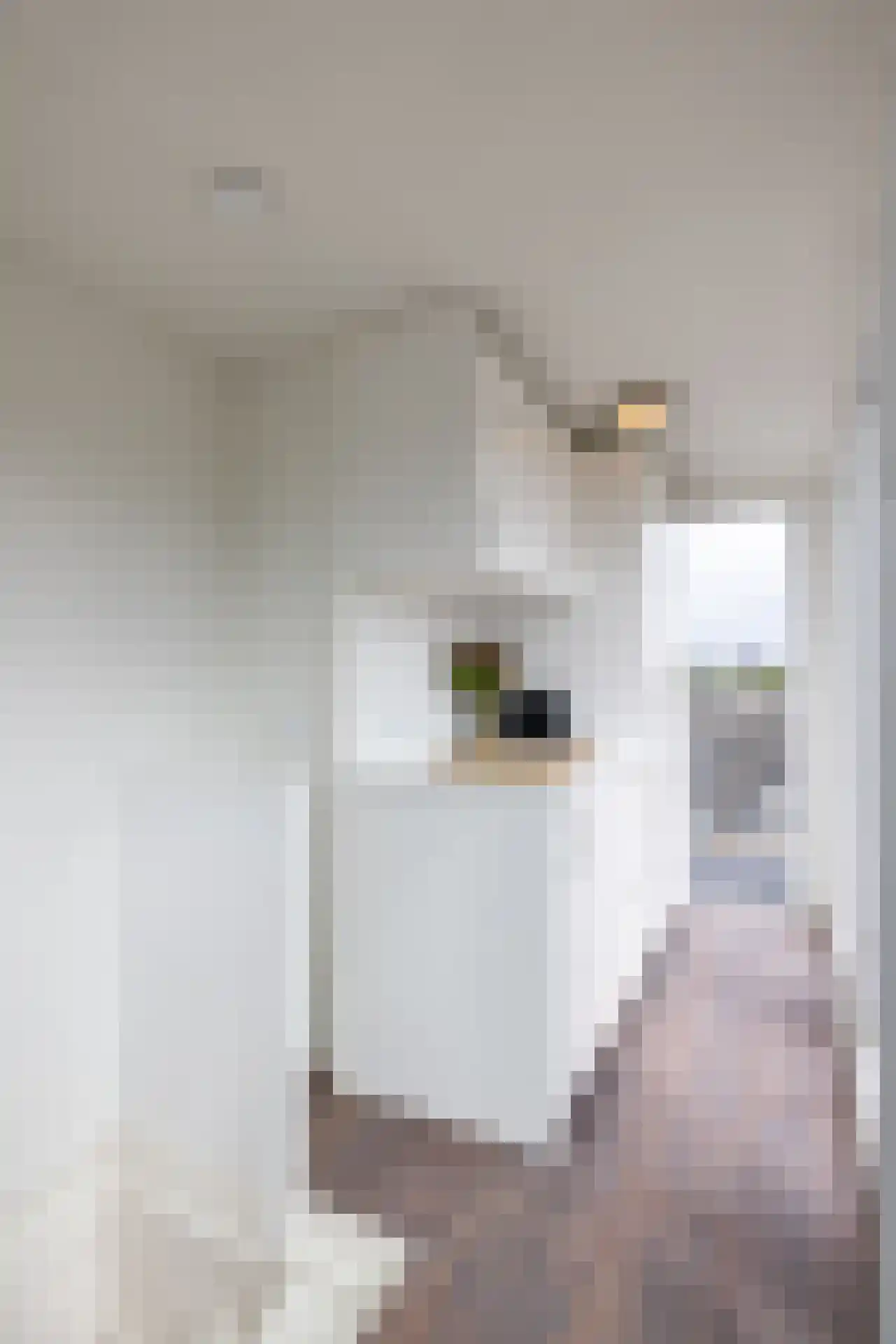 Heemraadssingel 294 B Rotterdam thumbnail 43