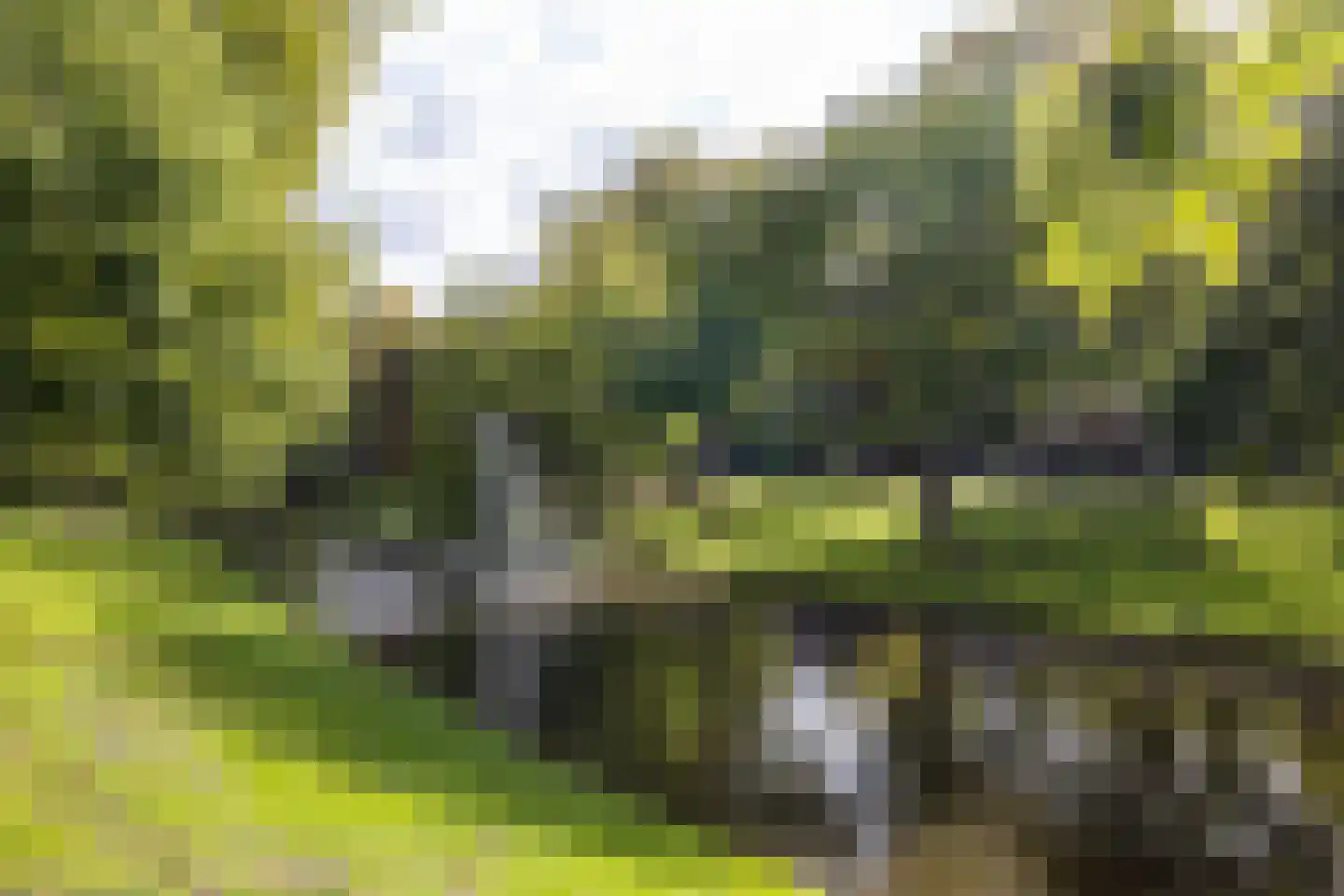 Heemraadssingel 294 B Rotterdam thumbnail 5