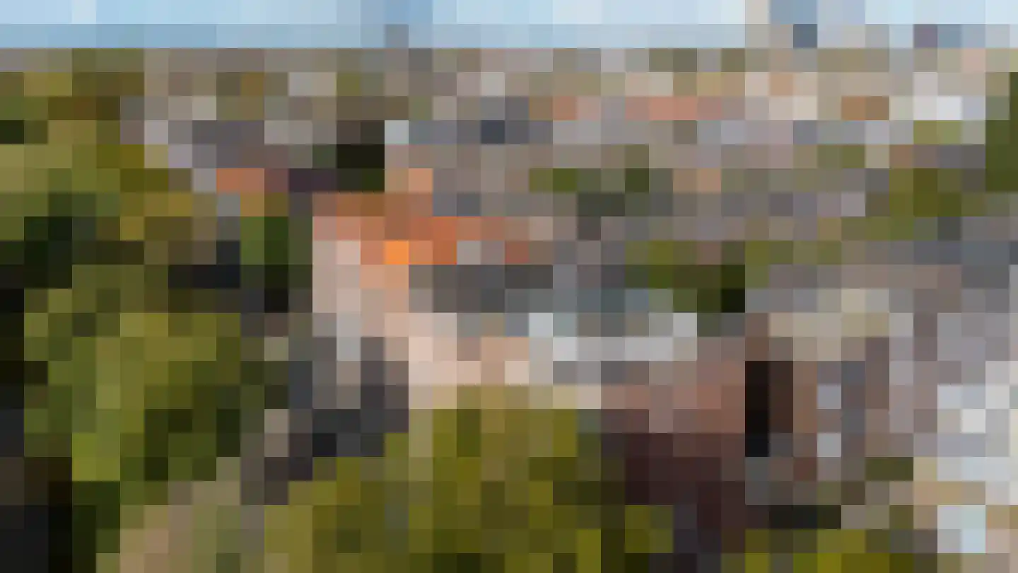 Heemraadssingel 294 B Rotterdam thumbnail 54