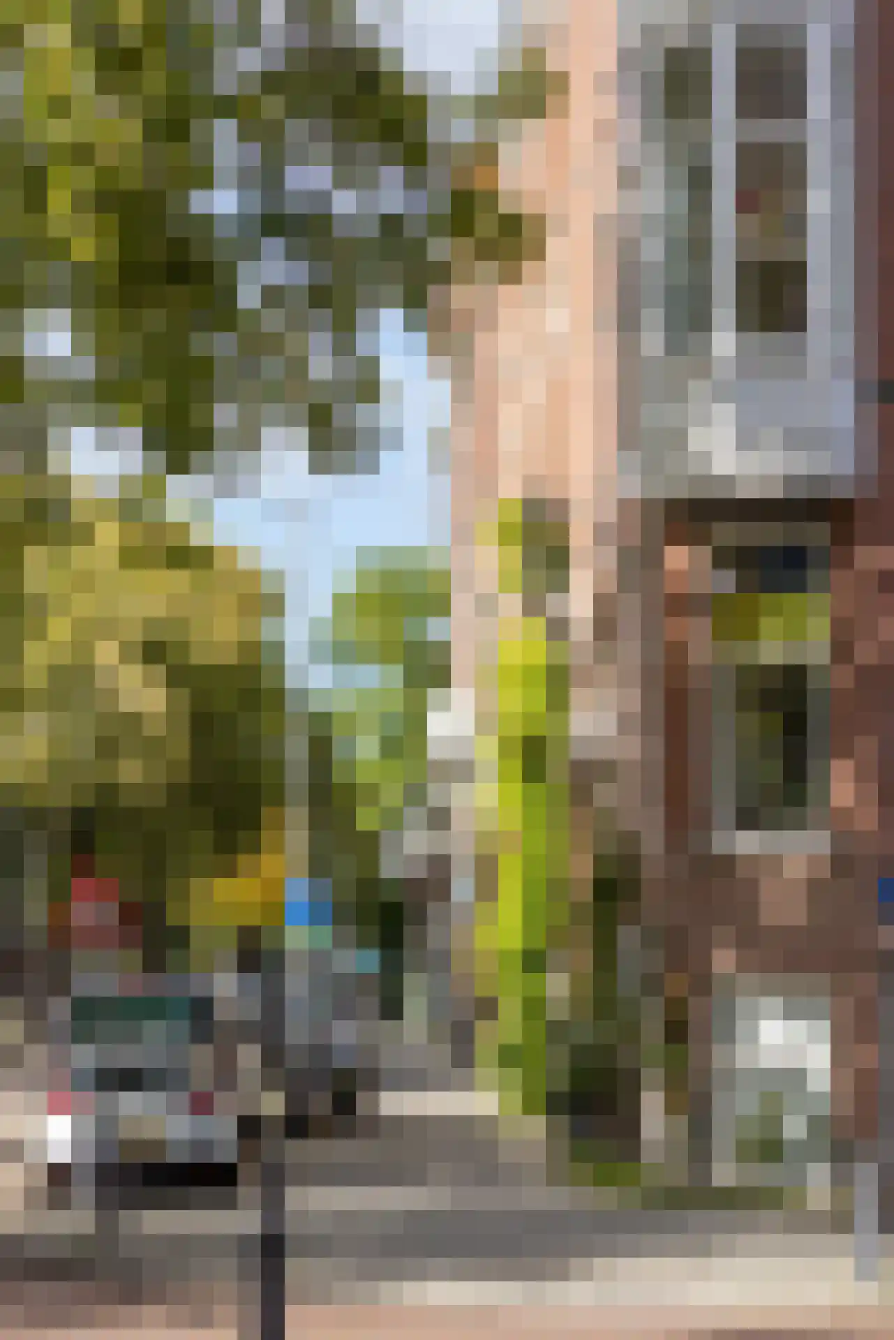 Heemraadssingel 294 B Rotterdam thumbnail 58