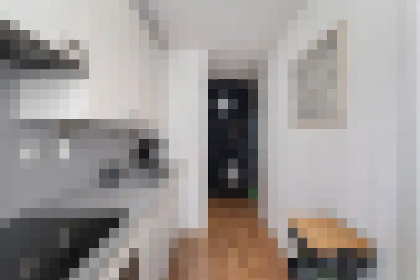 Heemraadssingel 324 B Rotterdam thumbnail 15