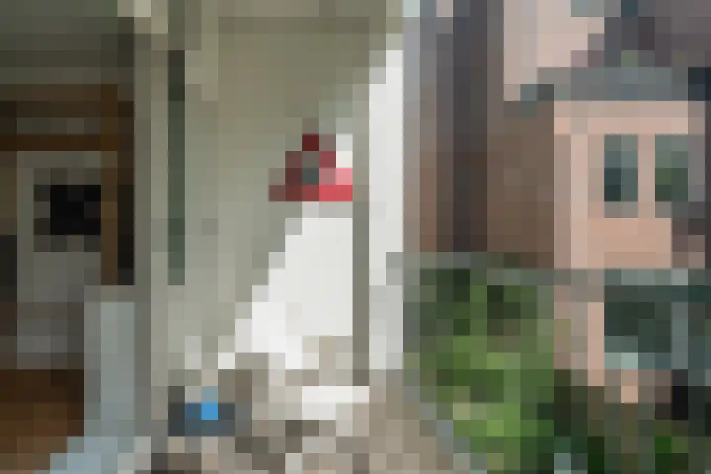 Heemraadssingel 324 B Rotterdam thumbnail 19