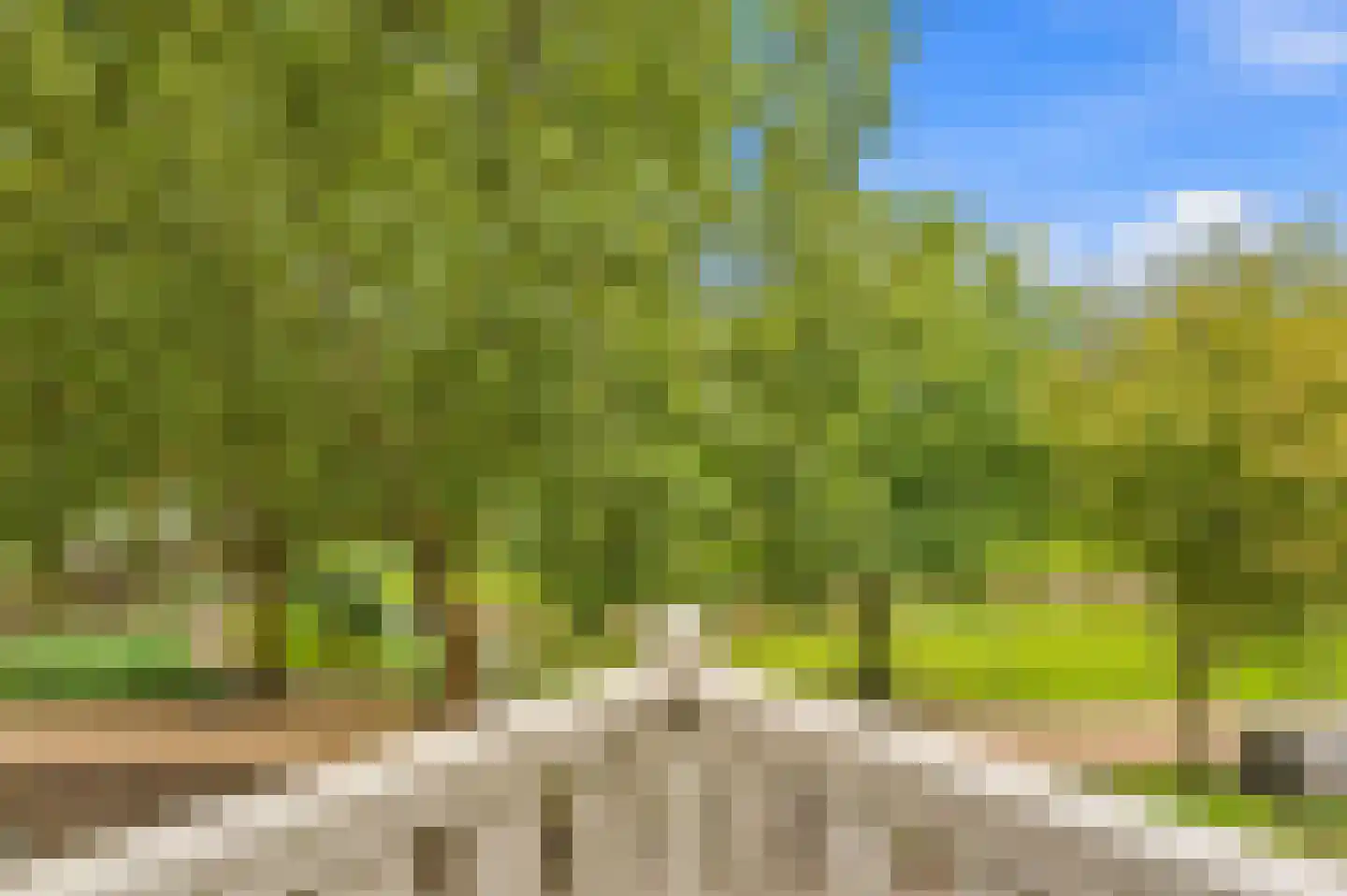 Heemraadssingel 324 C Rotterdam thumbnail 16