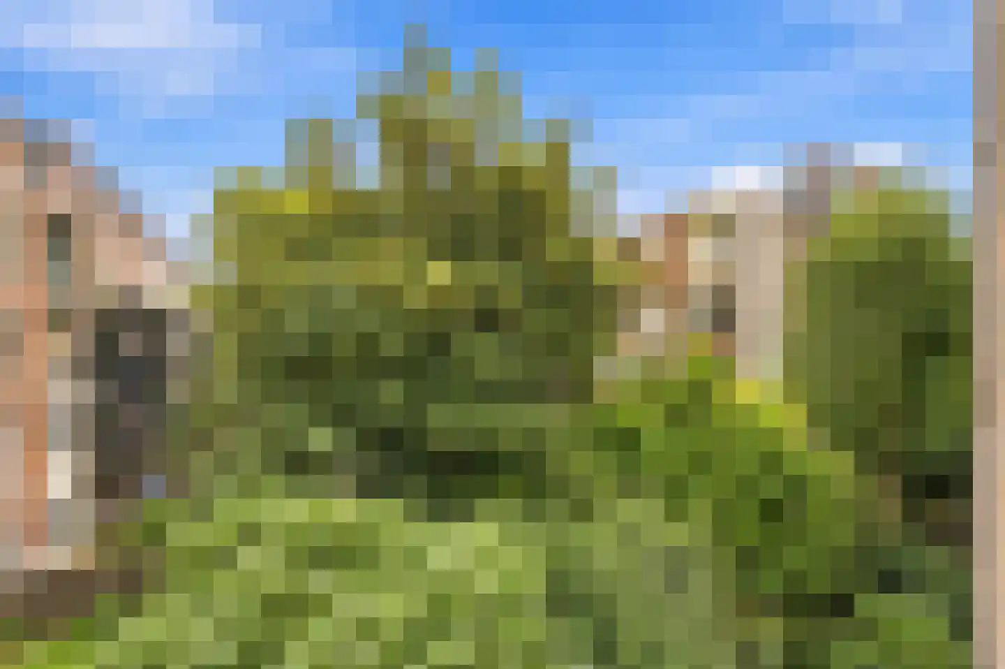 Heemraadssingel 324 C Rotterdam thumbnail 27