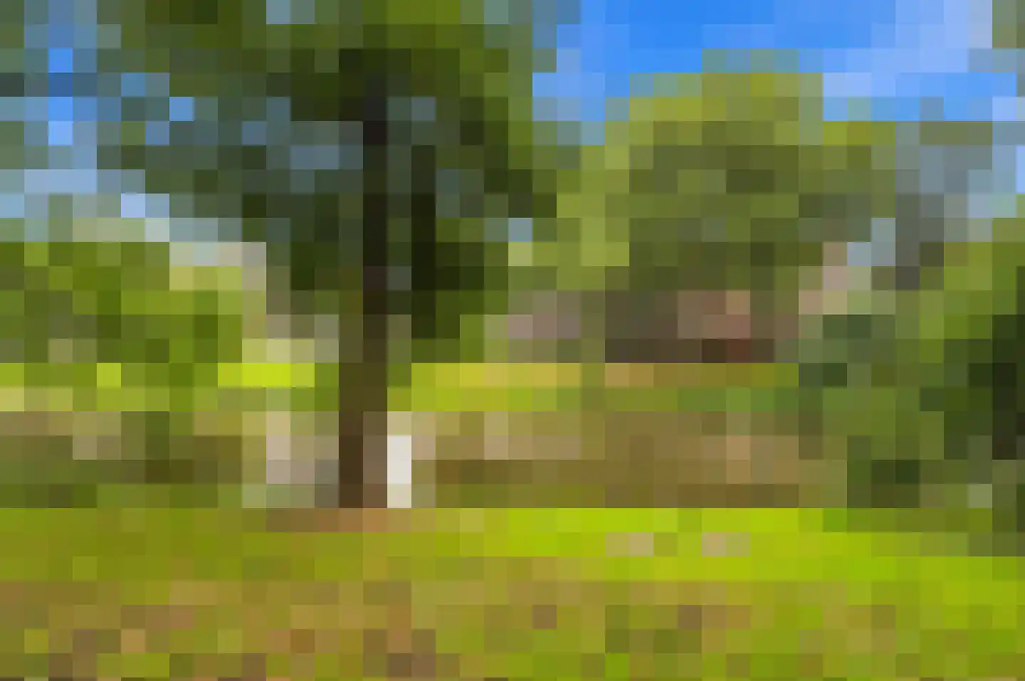 Heemraadssingel 324 C Rotterdam thumbnail 45