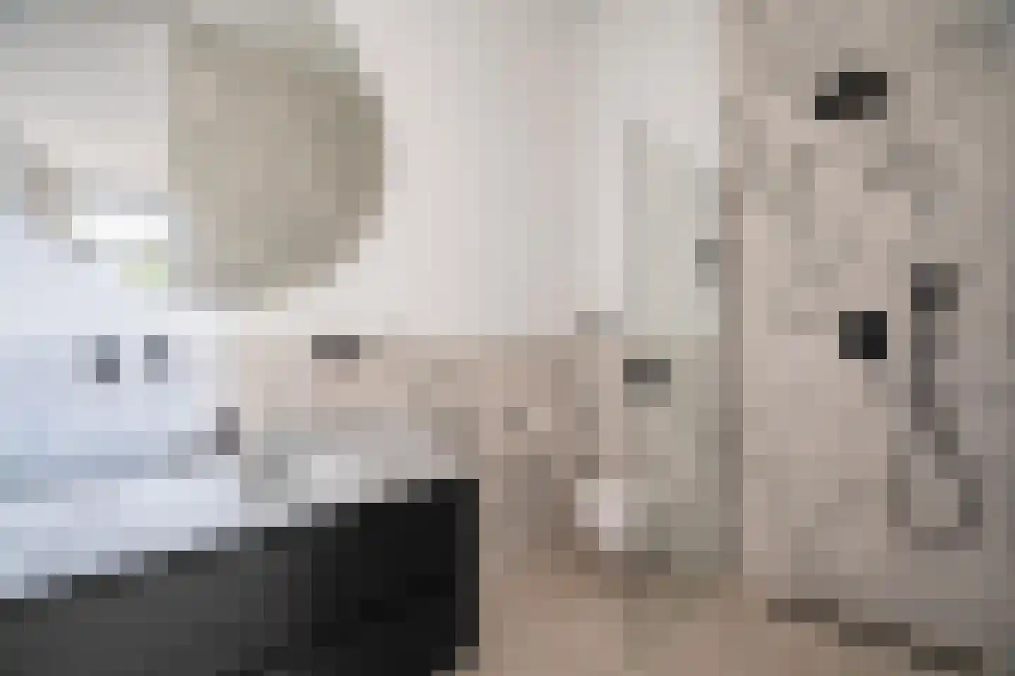 Heemraadssingel 327 A Rotterdam thumbnail 18