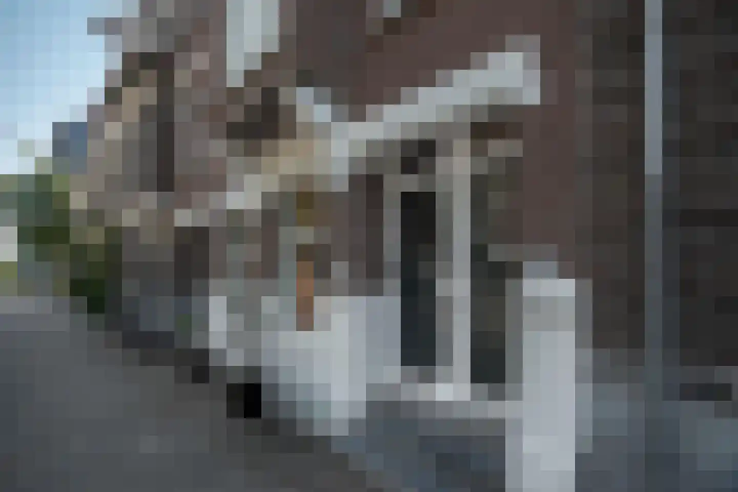 Heemraadssingel 327 A Rotterdam thumbnail 29