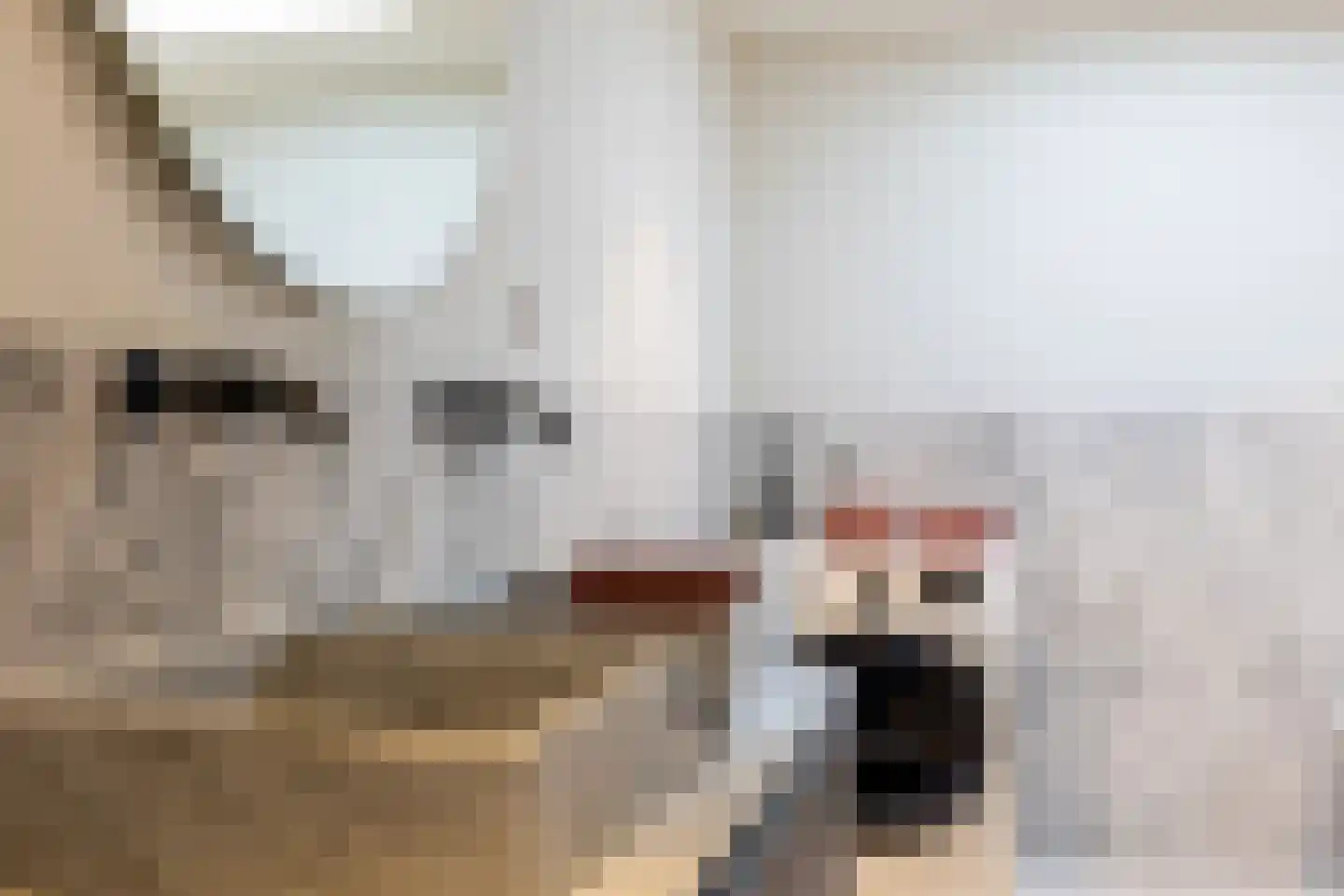 Heemraadssingel 327 D Rotterdam thumbnail 27
