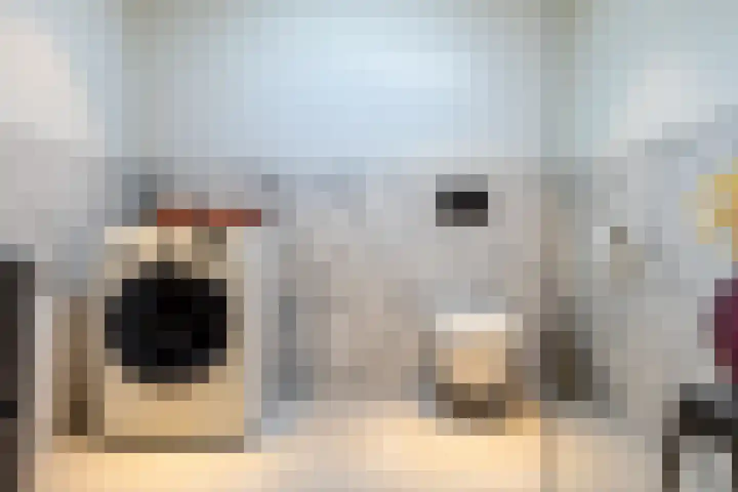 Heemraadssingel 327 D Rotterdam thumbnail 28