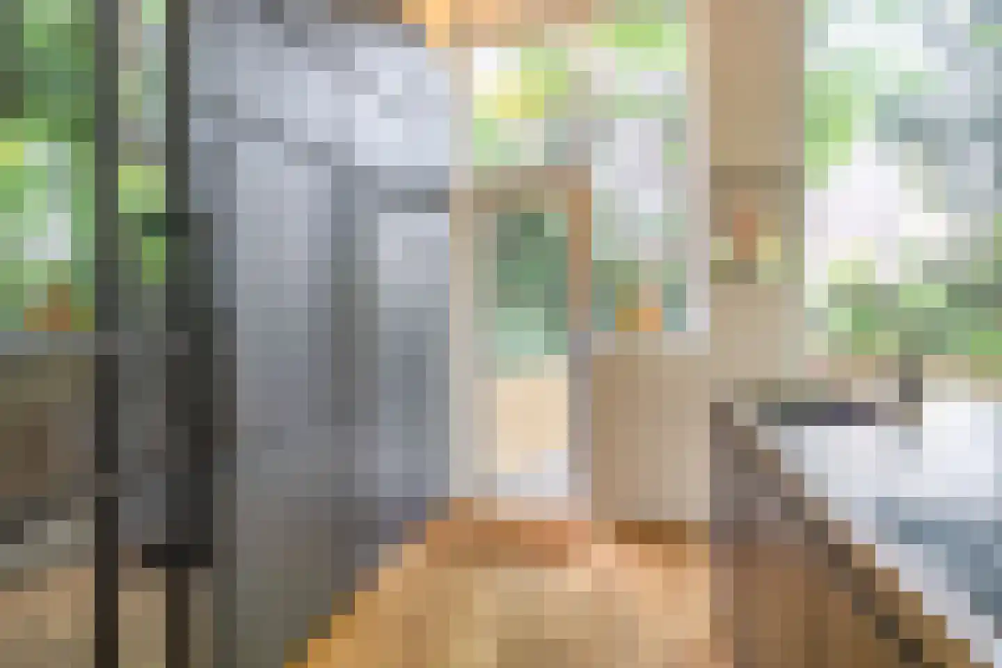 Heemraadssingel 36 Rotterdam thumbnail 20