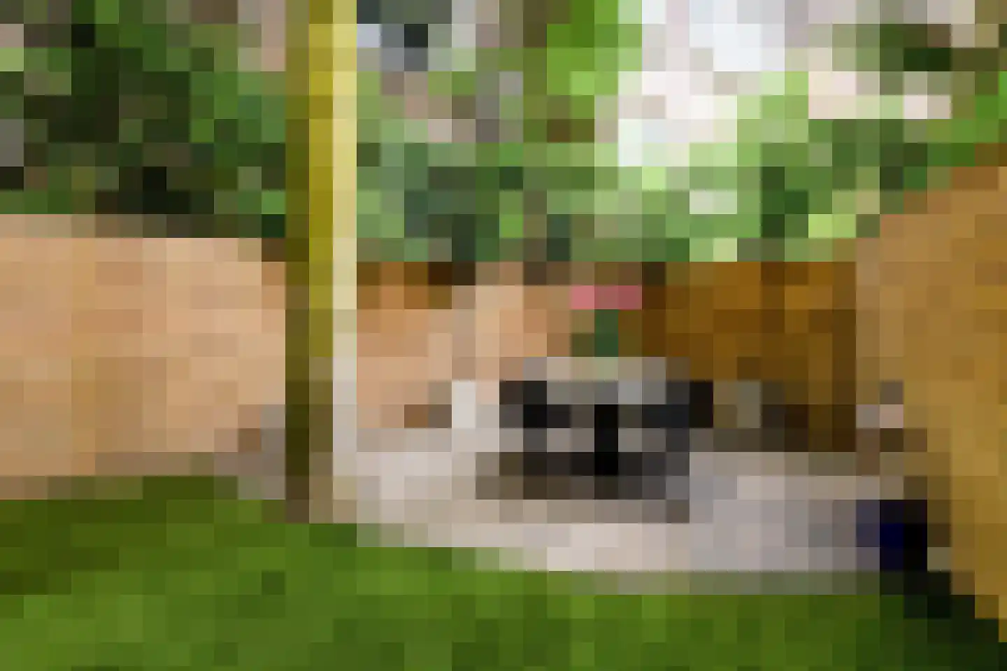 Heemraadssingel 36 Rotterdam thumbnail 21