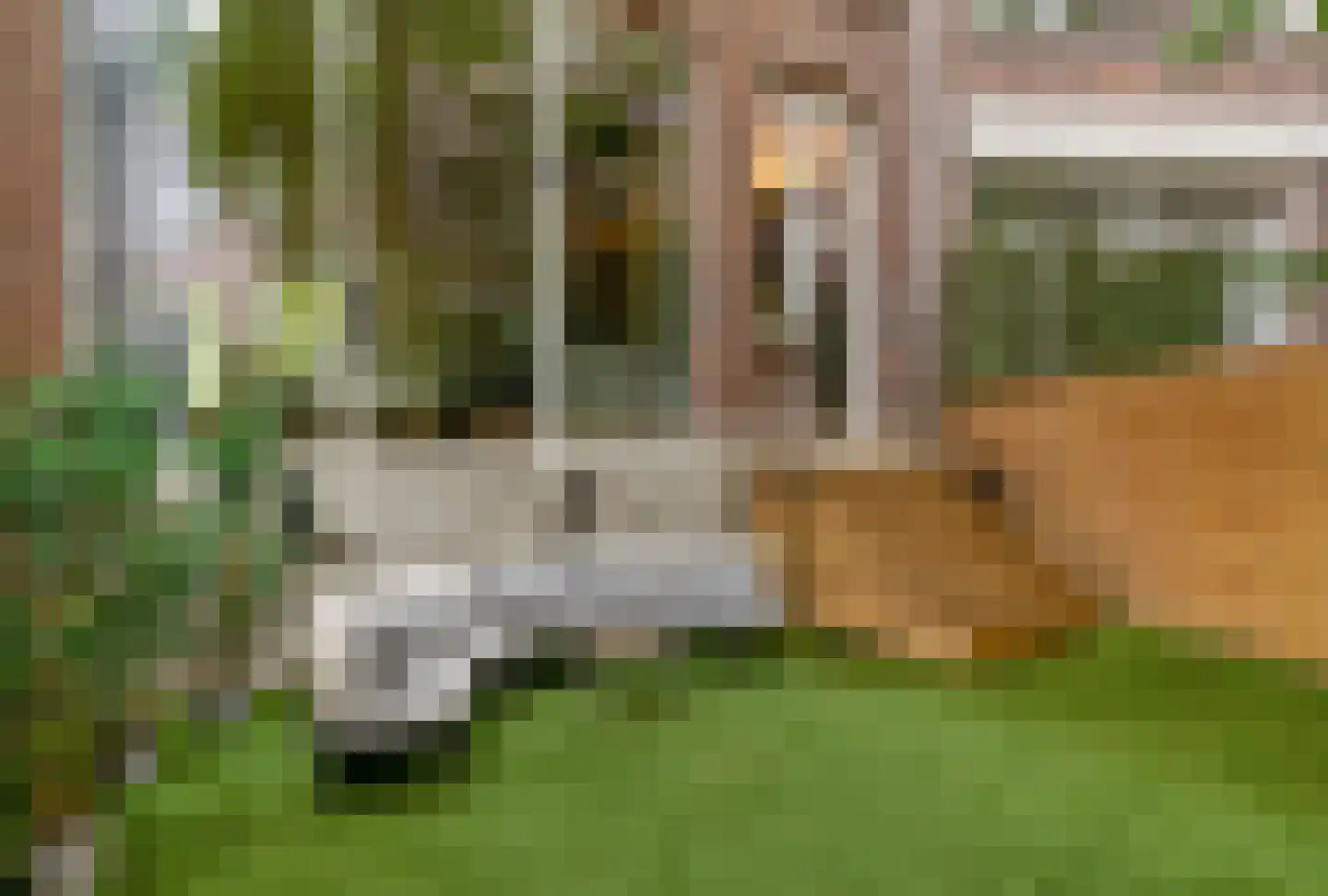 Heemraadssingel 36 Rotterdam thumbnail 22