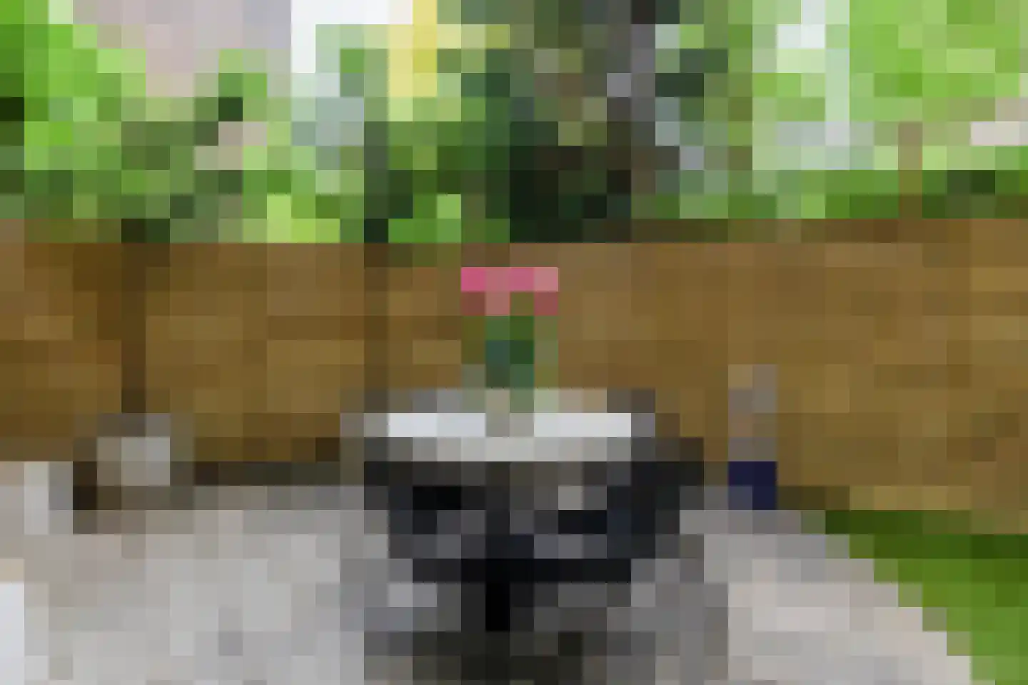Heemraadssingel 36 Rotterdam thumbnail 23