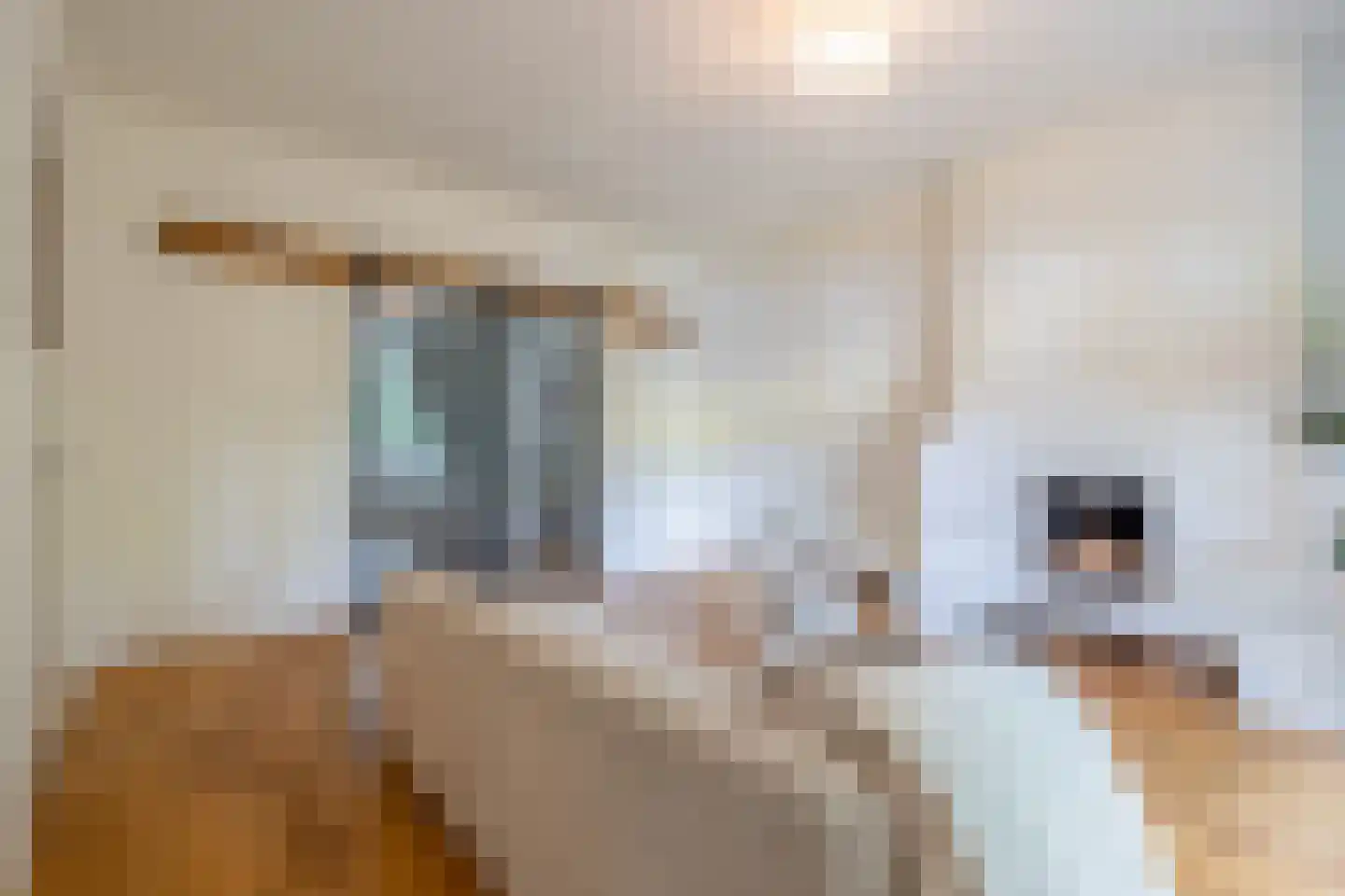 Heemraadssingel 36 Rotterdam thumbnail 27