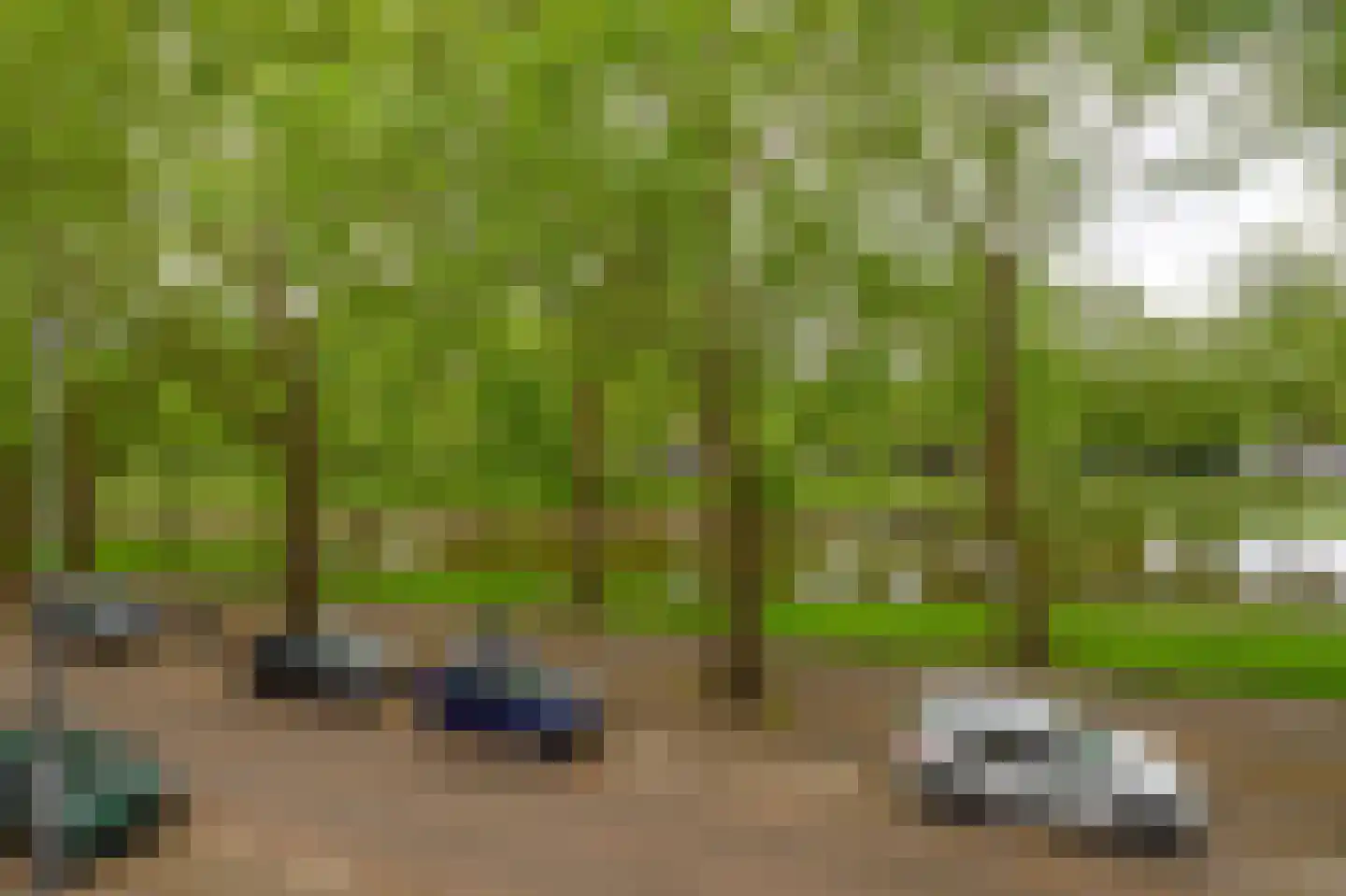 Heemraadssingel 36 Rotterdam thumbnail 32