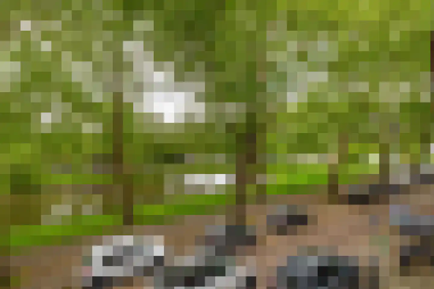 Heemraadssingel 36 Rotterdam thumbnail 33
