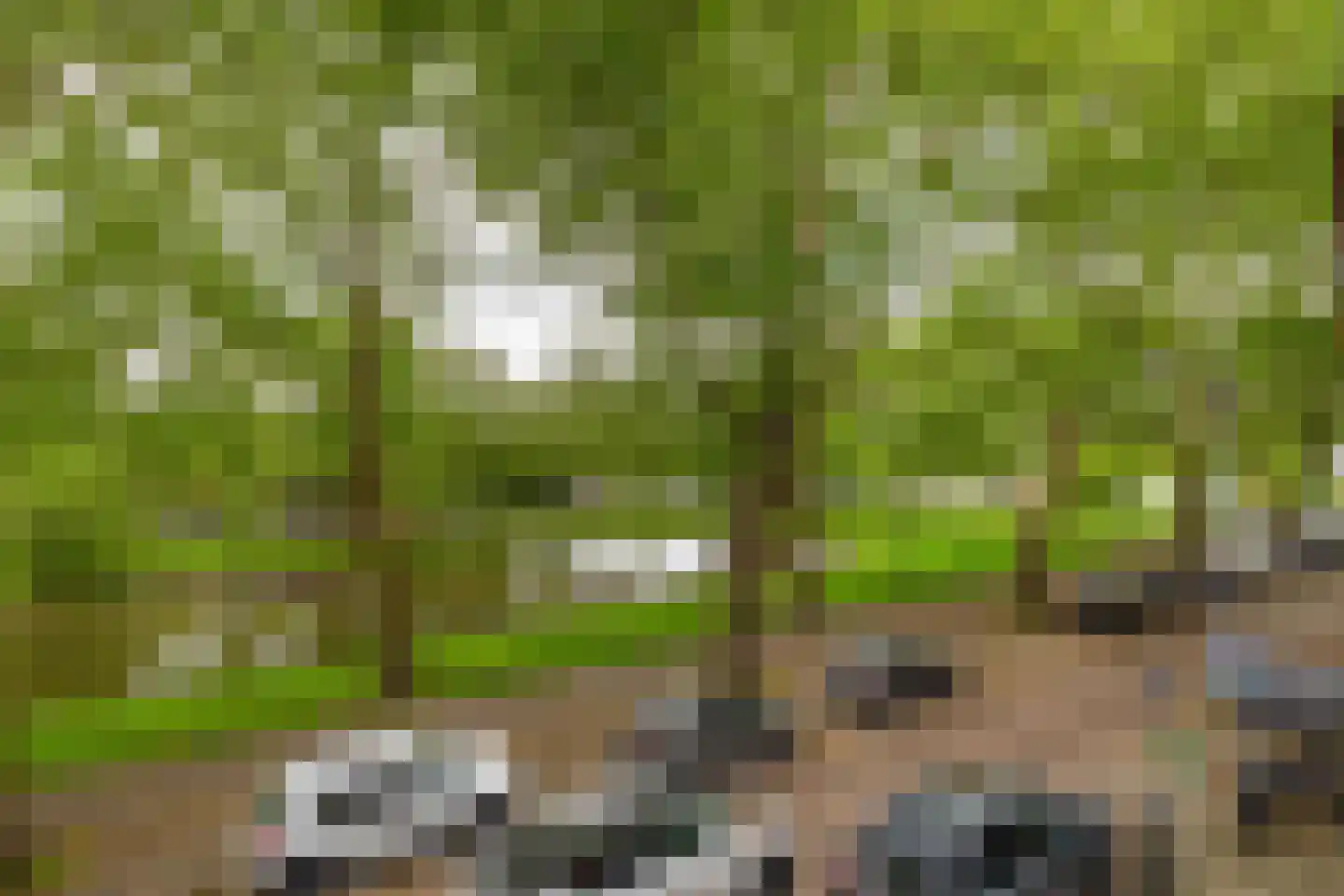 Heemraadssingel 36 Rotterdam thumbnail 33