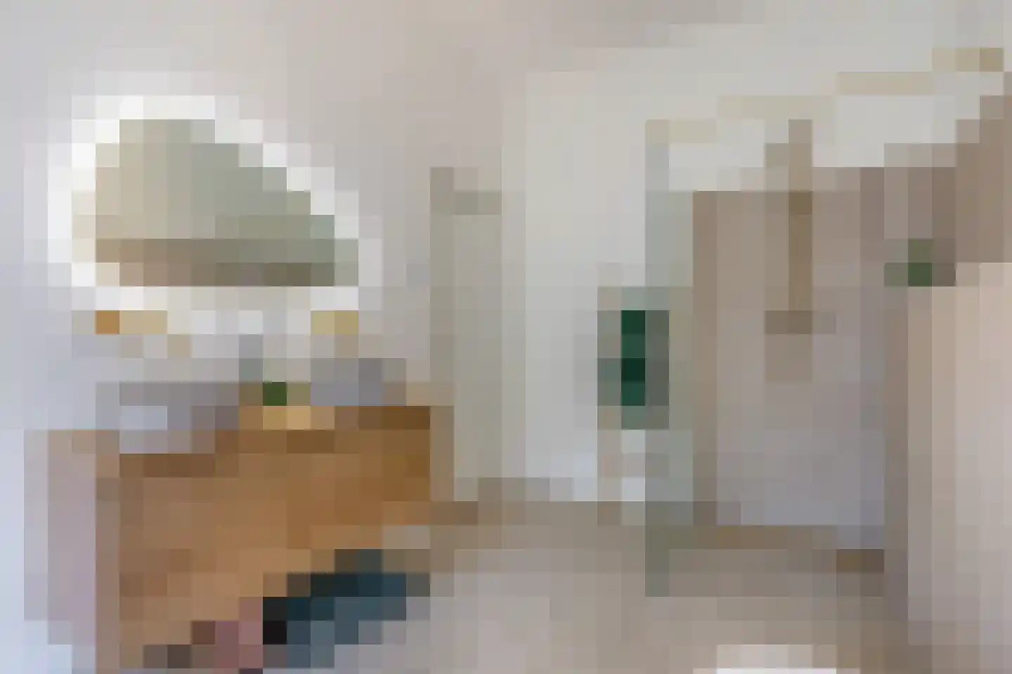 Heemraadssingel 36 Rotterdam thumbnail 36
