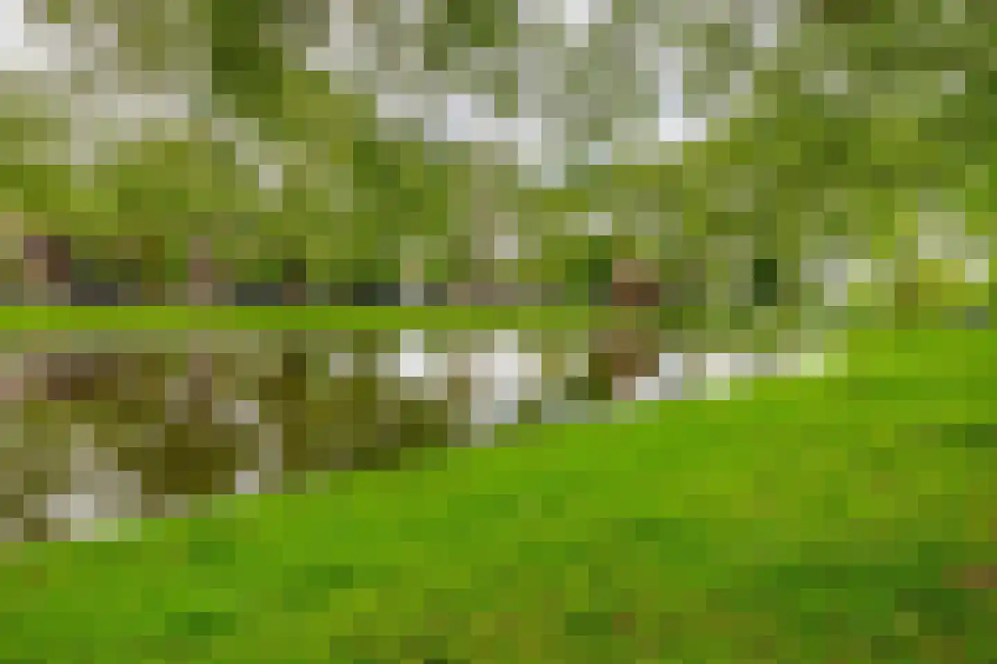 Heemraadssingel 36 Rotterdam thumbnail 53