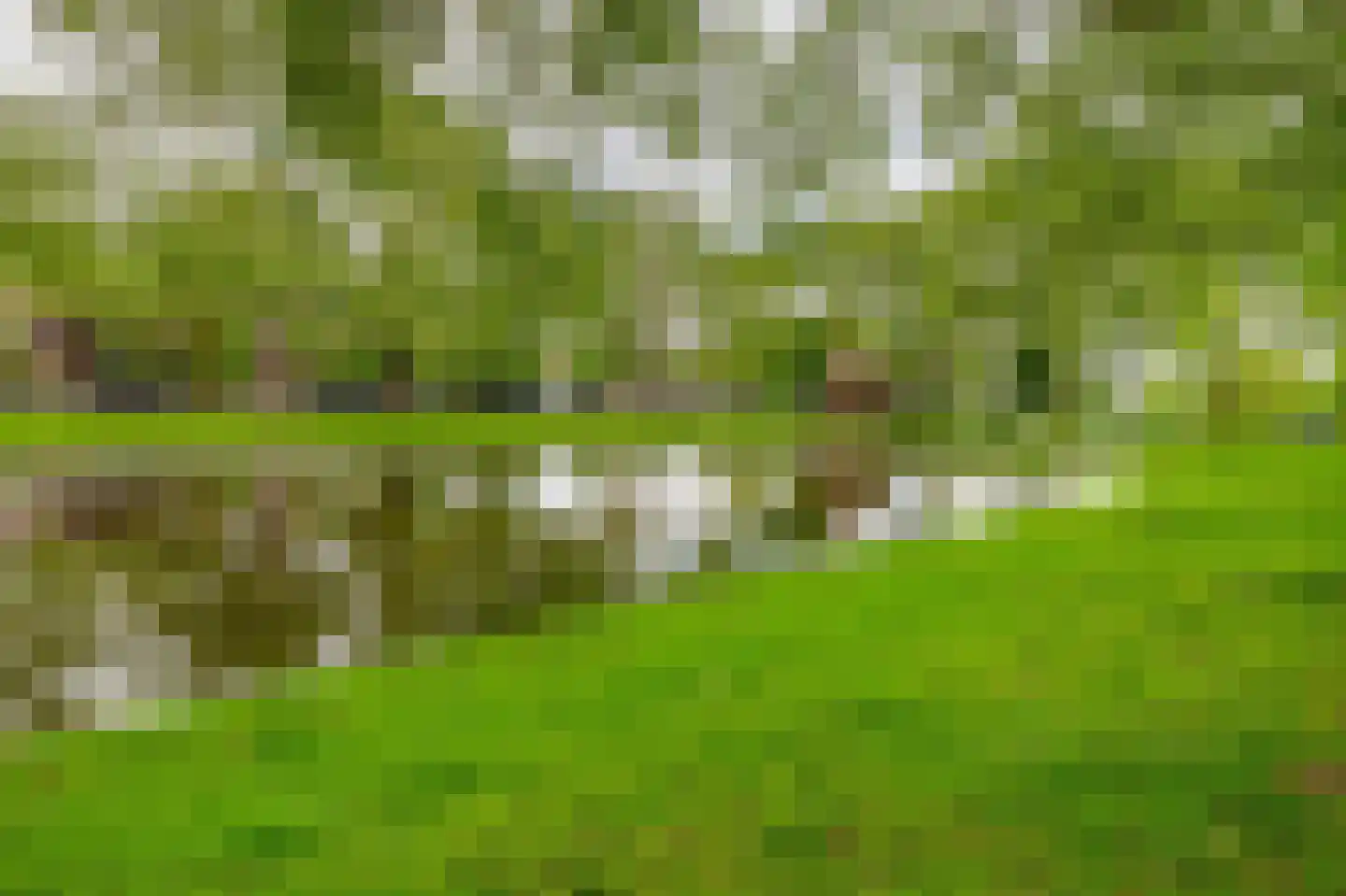 Heemraadssingel 36 Rotterdam thumbnail 53
