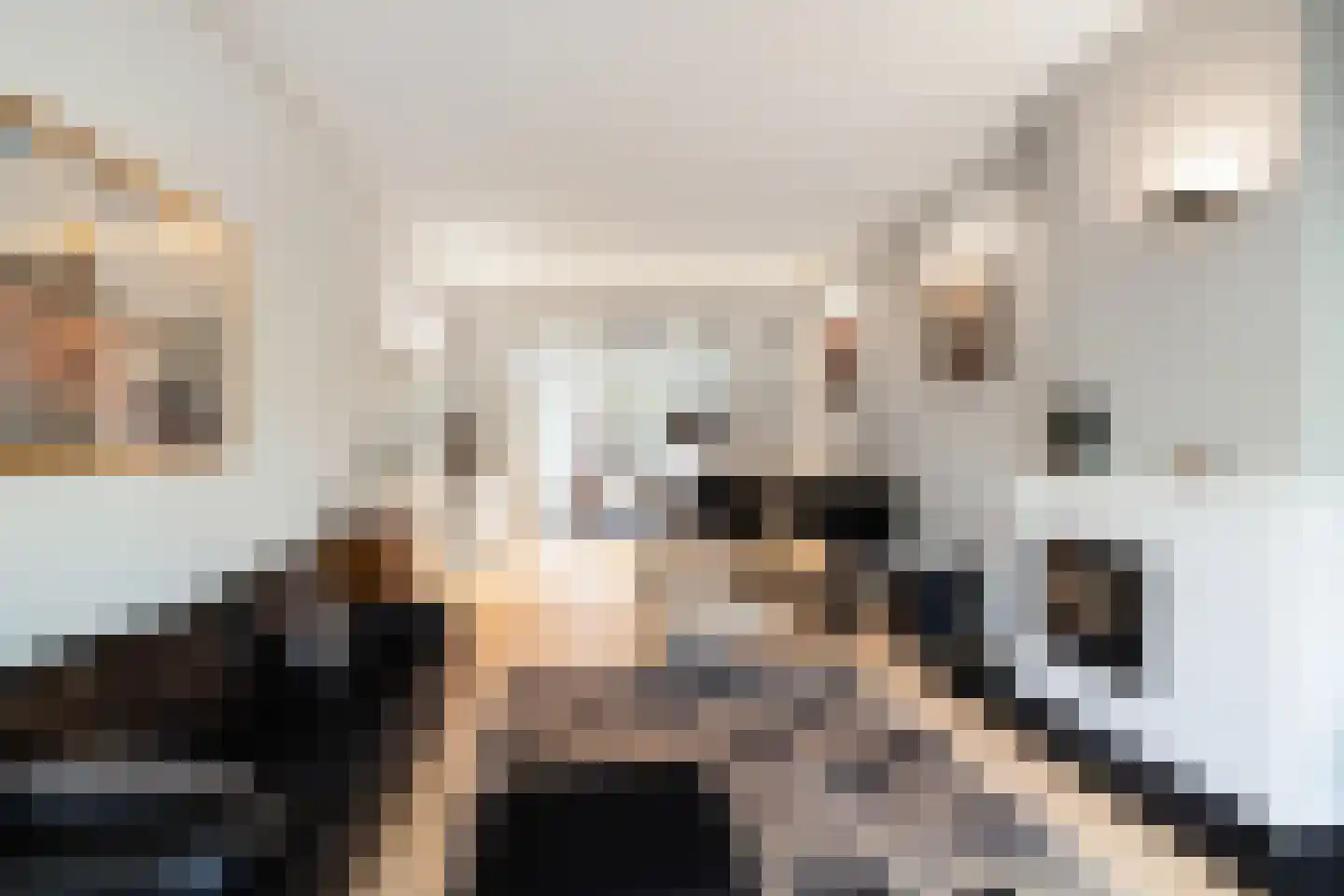 Heemraadssingel 50 Rotterdam thumbnail 13