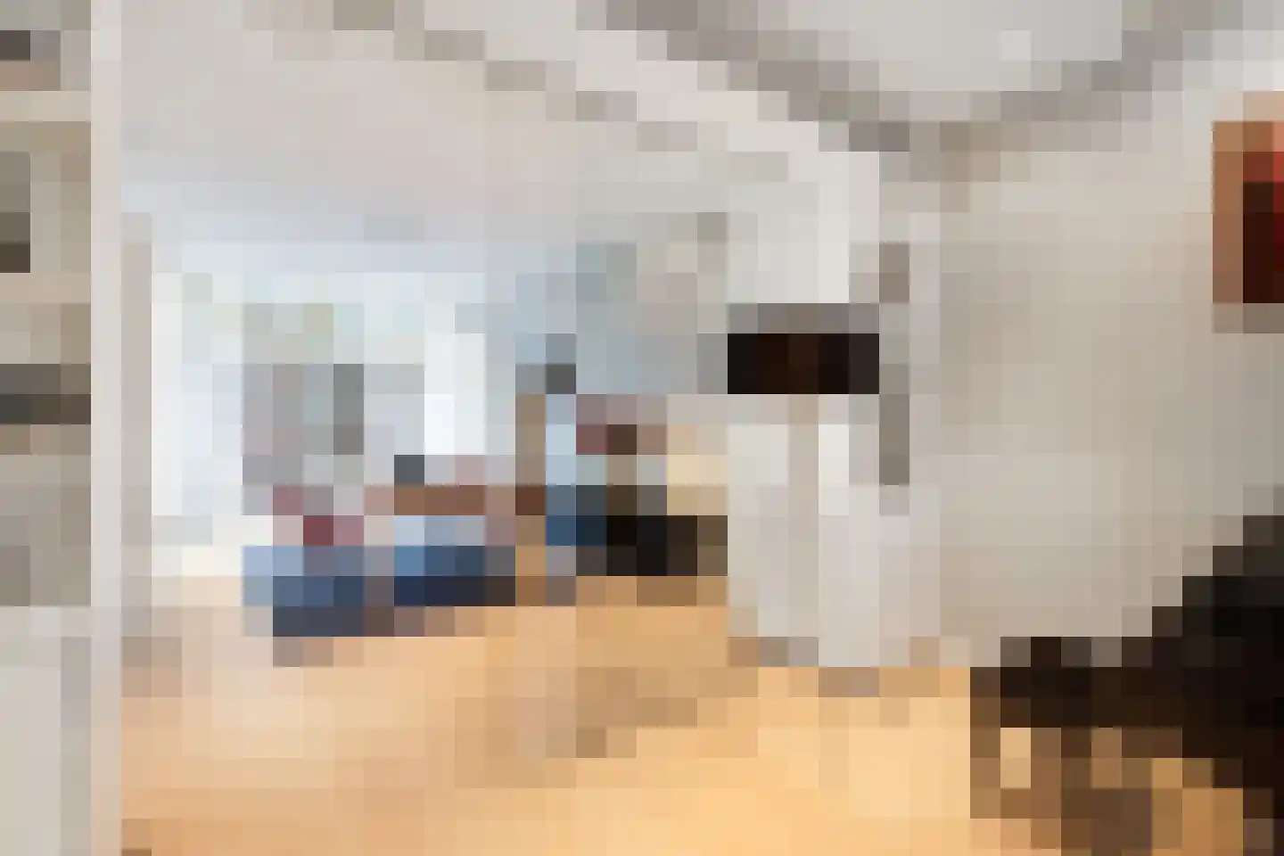 Heemraadssingel 50 Rotterdam thumbnail 22