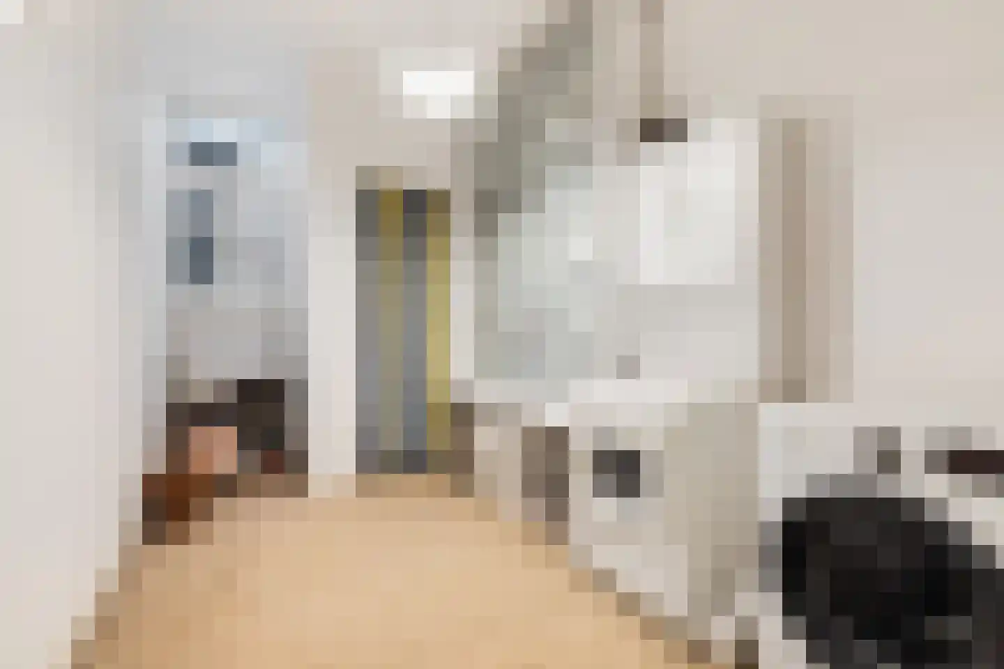 Heemraadssingel 50 Rotterdam thumbnail 30