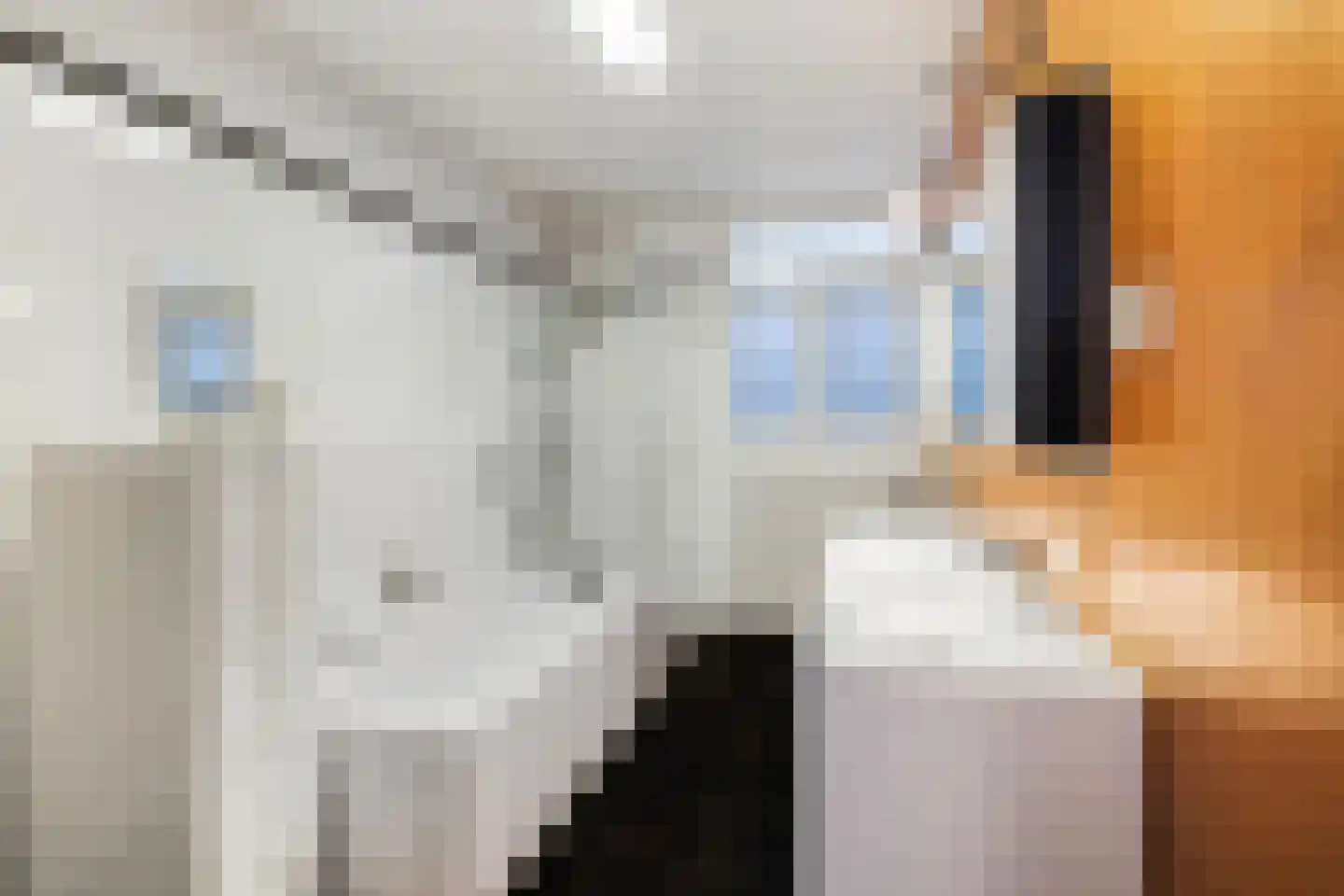 Heemraadssingel 50 Rotterdam thumbnail 39