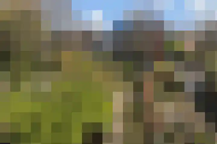 Heemraadssingel 64 Rotterdam thumbnail 14