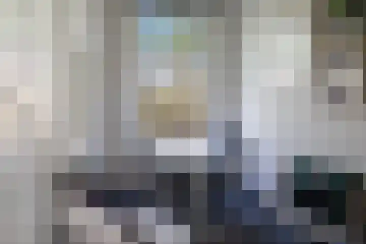 Heemraadssingel 64 Rotterdam thumbnail 22