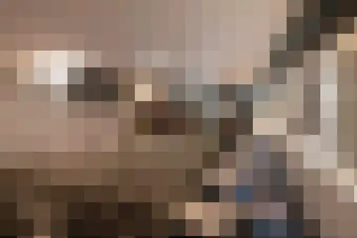 Heemraadssingel 64 Rotterdam thumbnail 33