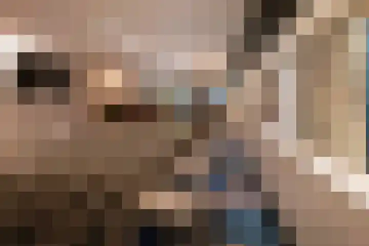 Heemraadssingel 64 Rotterdam thumbnail 34