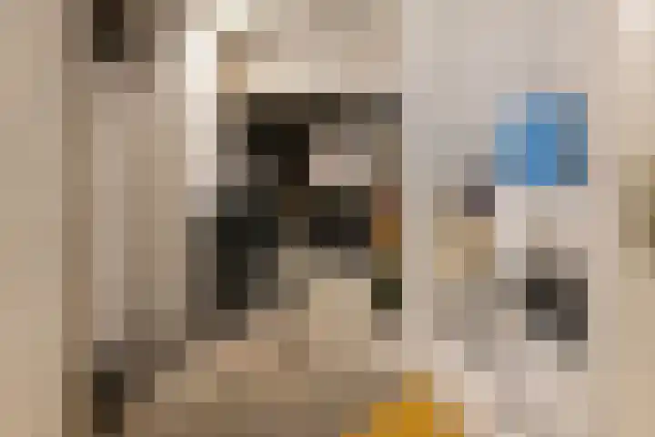 Heemraadssingel 64 Rotterdam thumbnail 35