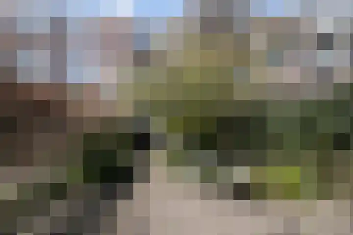 Heemraadssingel 64 Rotterdam thumbnail 37