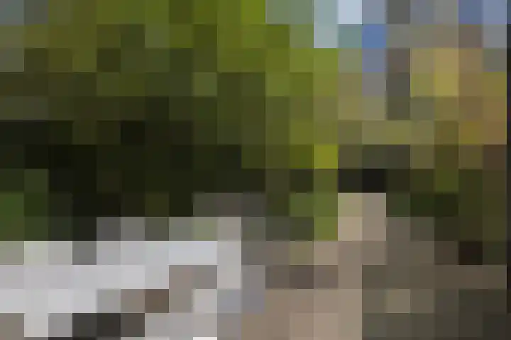 Heemraadssingel 64 Rotterdam thumbnail 39