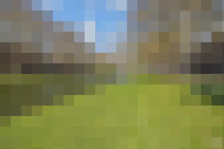 Heemraadssingel 64 Rotterdam thumbnail 42
