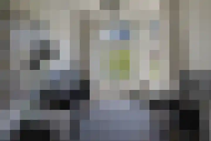 Heemraadssingel 64 Rotterdam thumbnail 7