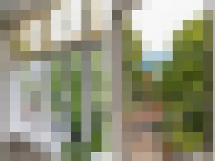 Heemraadssingel 76 A Rotterdam thumbnail 13