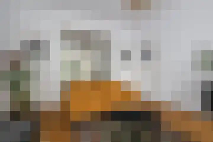 Heemraadssingel 76 A Rotterdam thumbnail 15