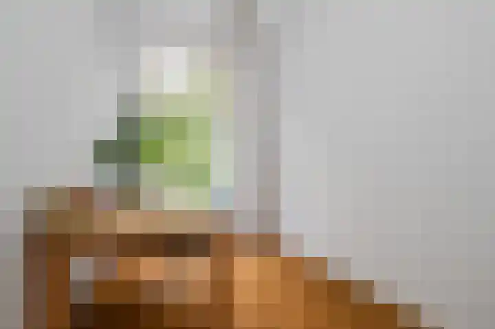 Heemraadssingel 76 A Rotterdam thumbnail 16
