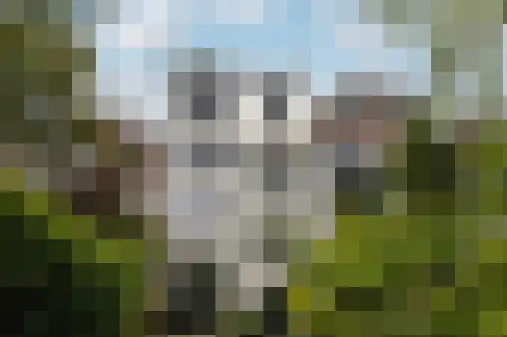 Heemraadssingel 76 A Rotterdam thumbnail 21