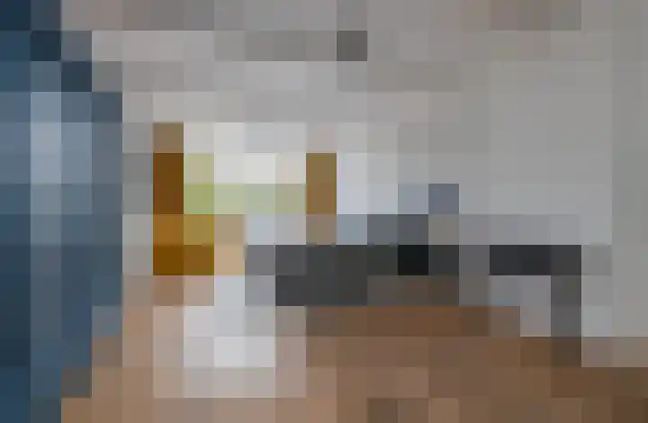 Heemraadssingel 76 A Rotterdam thumbnail 24