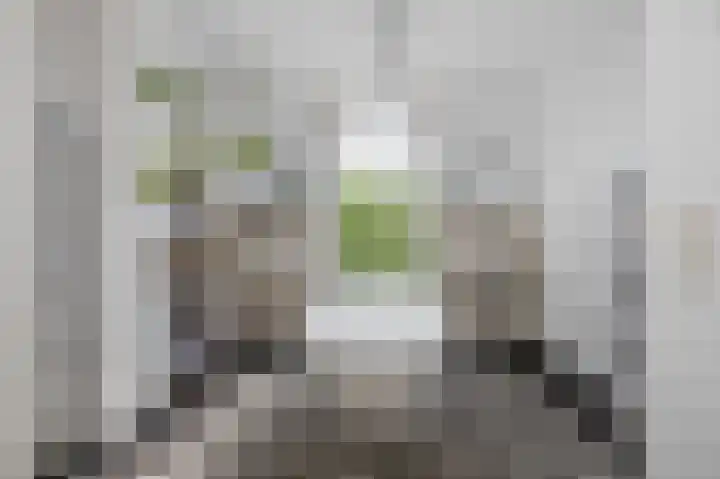 Heemraadssingel 76 A Rotterdam thumbnail 26